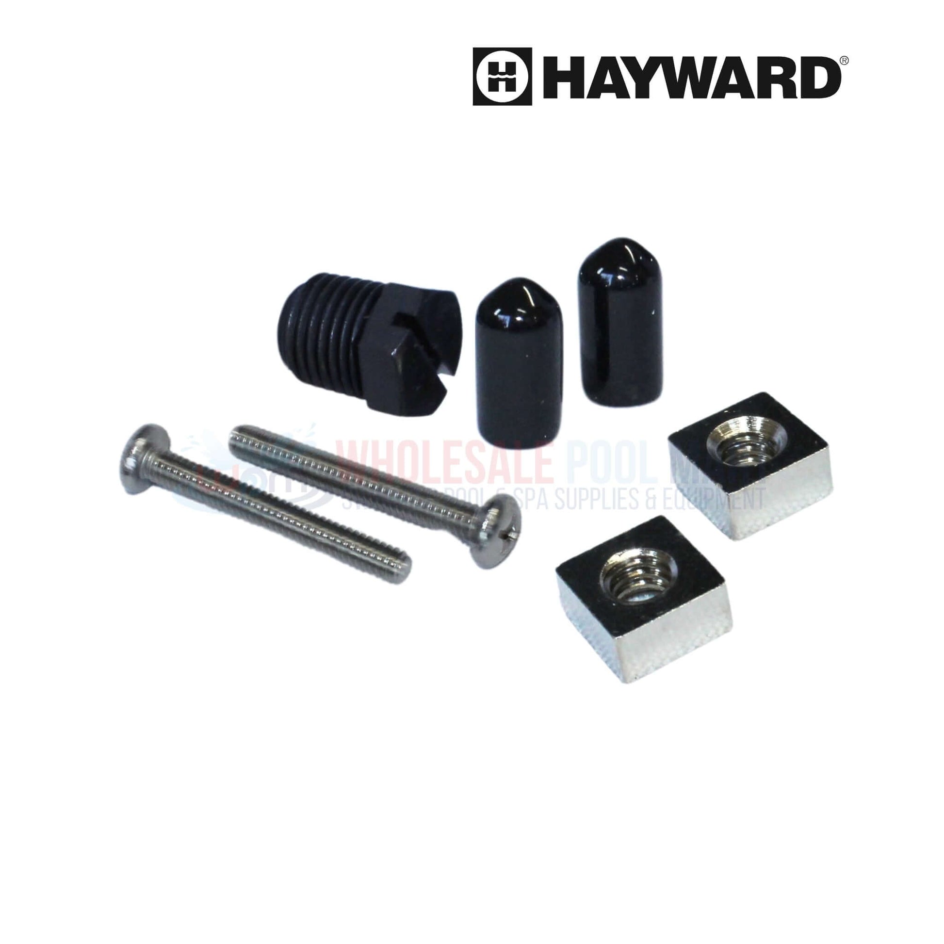 Hayward replacement parts for pool maintenance including screws, nuts, and caps from Wholesale Pool Mart WPM.