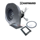 Hayward FDXLBWR1930 Combustion Blower | H-Series Heaters