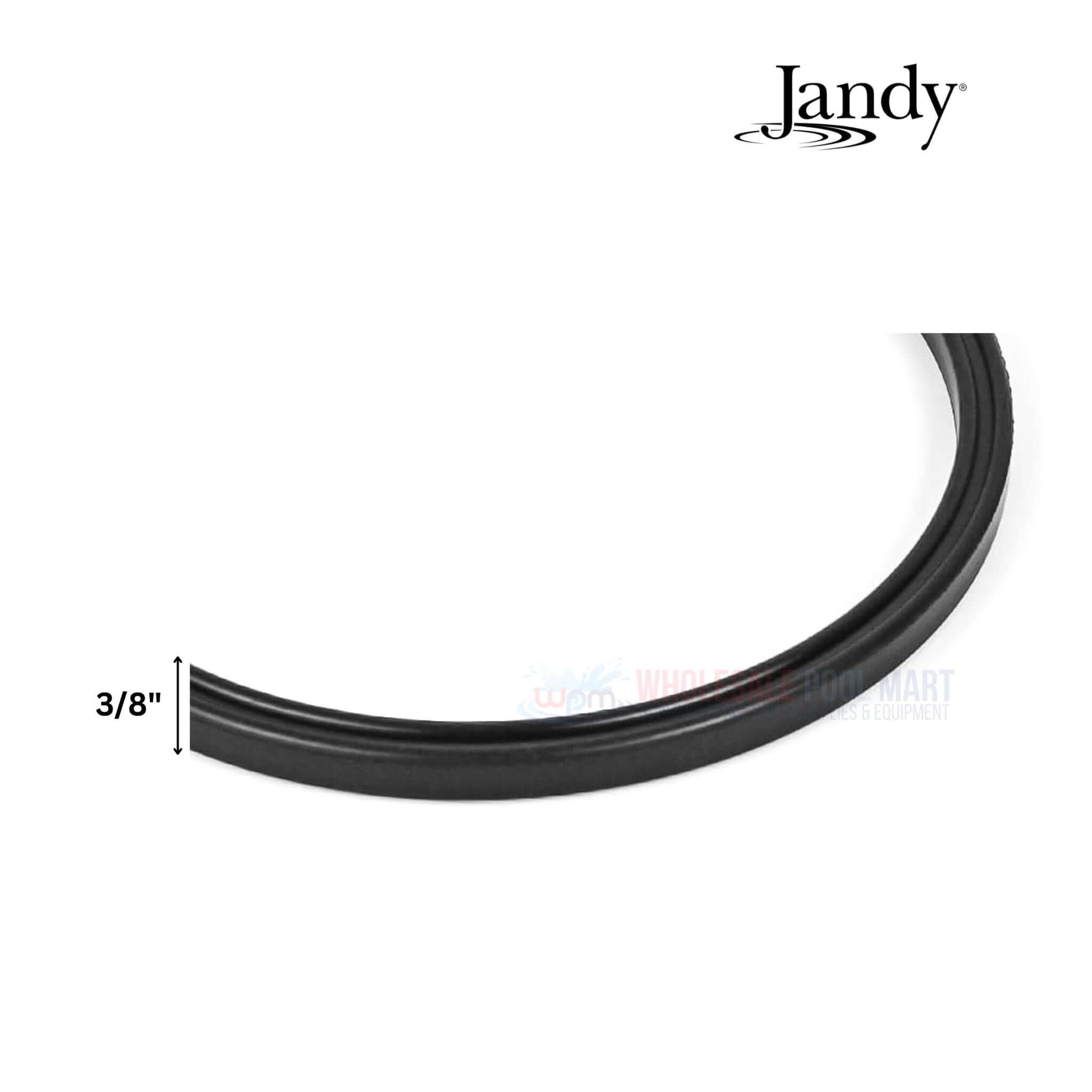 Jandy Lid Seal & O-Ring R0449100, 3/8" diameter, from Wholesale Pool Mart WPM for PlusHP, MaxHP, and WaterFeature pumps.