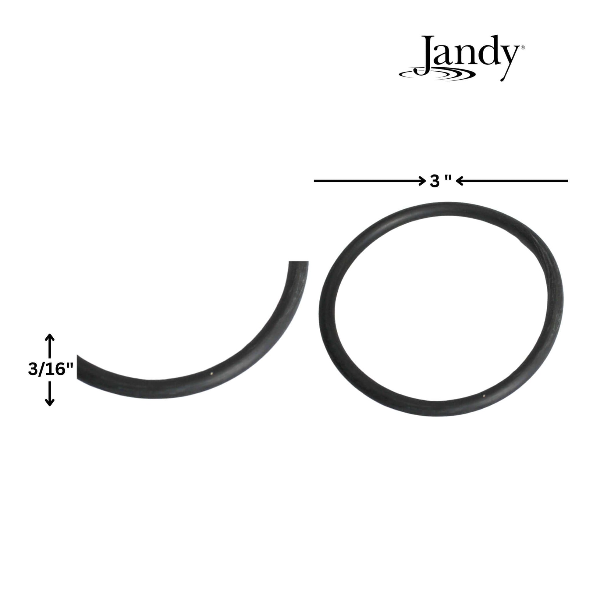 Jandy O-Ring Kit for DEV DEL Filters R0358000 by Wholesale Pool Mart WPM, 3-inch diameter, 3/16 inch thickness.