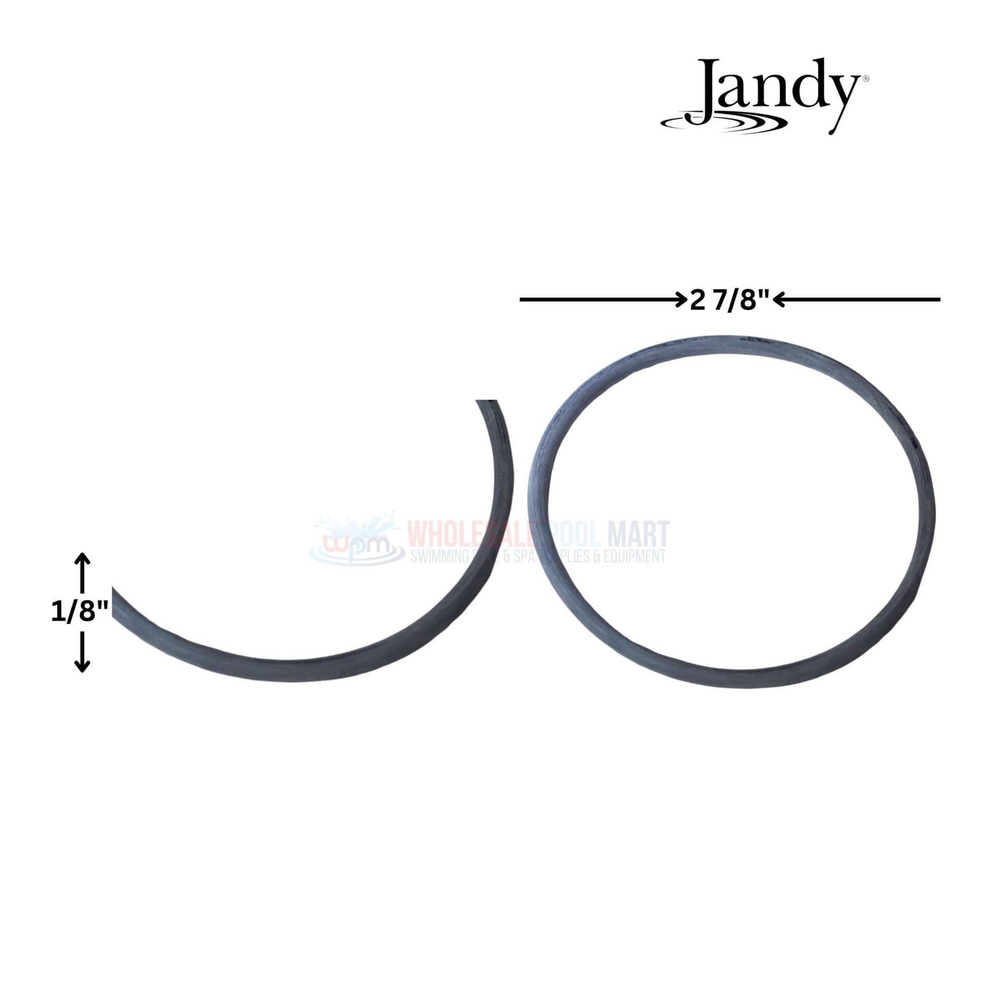 Jandy O-Ring Kit for DEV DEL Filters R0358000 by Wholesale Pool Mart WPM - Essential maintenance accessory