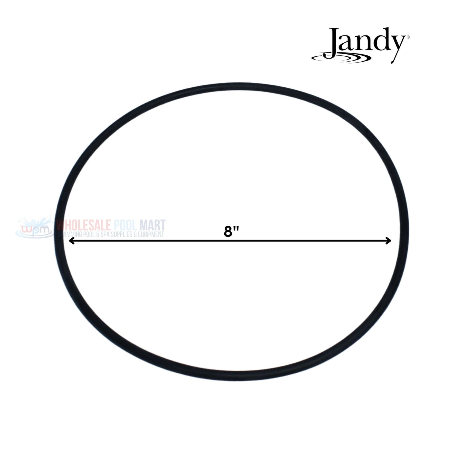 Jandy Backplate O-ring 8" for FloPro Pumps R0479500 by Wholesale Pool Mart WPM for optimal performance.