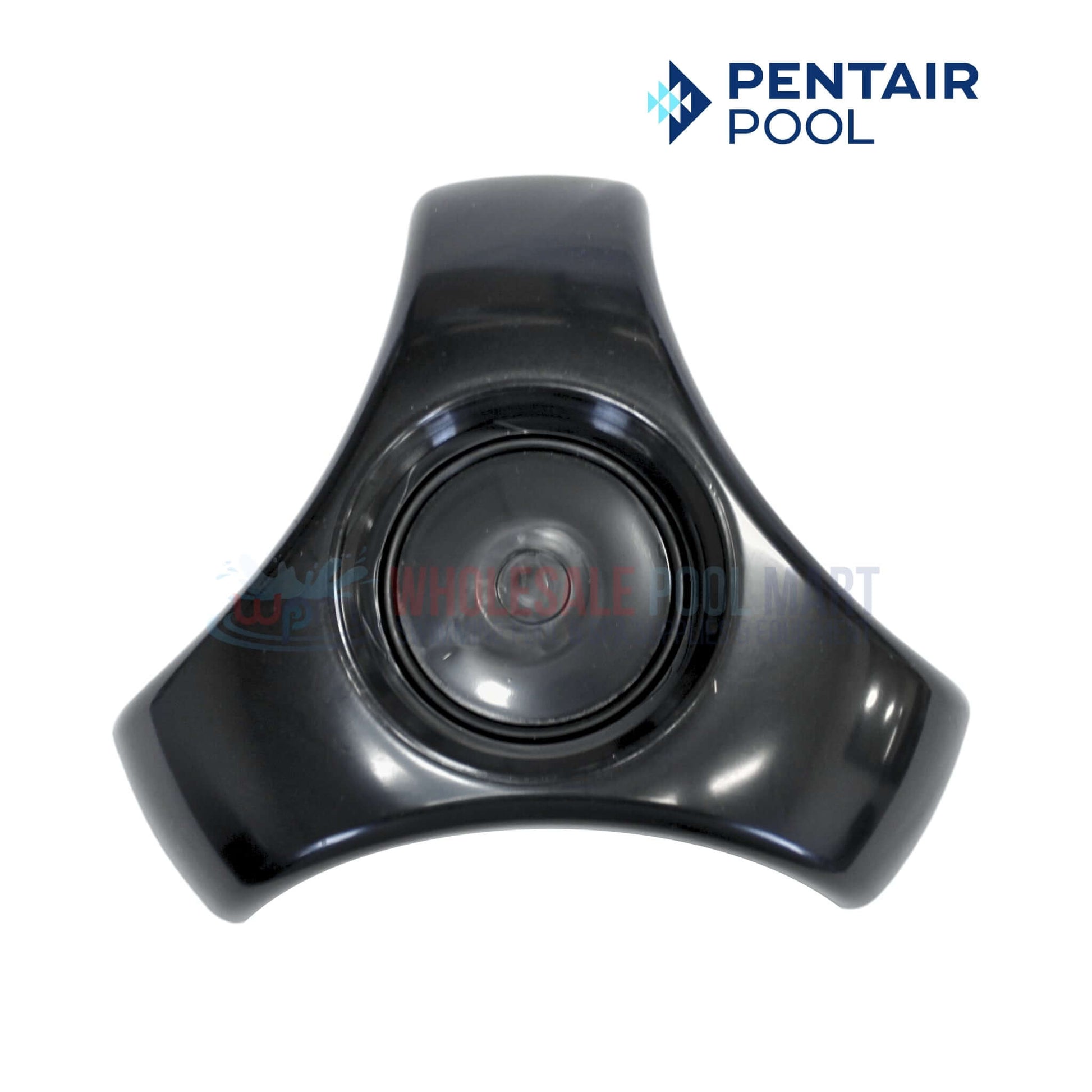 Pentair Acid Wash Stand Kit 523103 for iChlor and IntelliChlor | Wholesale Pool Mart WPM