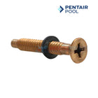 Pentair Brass Pilot Screw With Captive Gum Washer For Pool Lights | 79104800