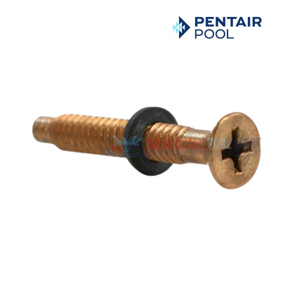 Pentair Brass Pilot Screw with Captive Gum Washer for Pool Lights 79104800 from Wholesale Pool Mart WPM.