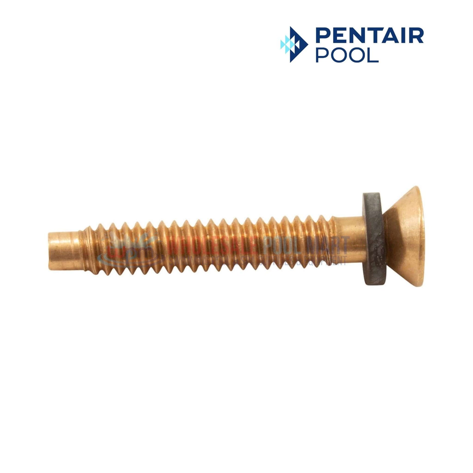 Pentair Brass Pilot Screw with Captive Gum Washer for Pool Lights by Wholesale Pool Mart WPM, Model 79104800.