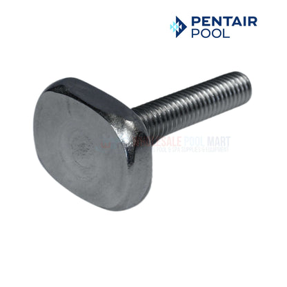 Pentair 24850-0010 Replacement Clamp Bolt for Sta-Rite System 3 Filter Systems
