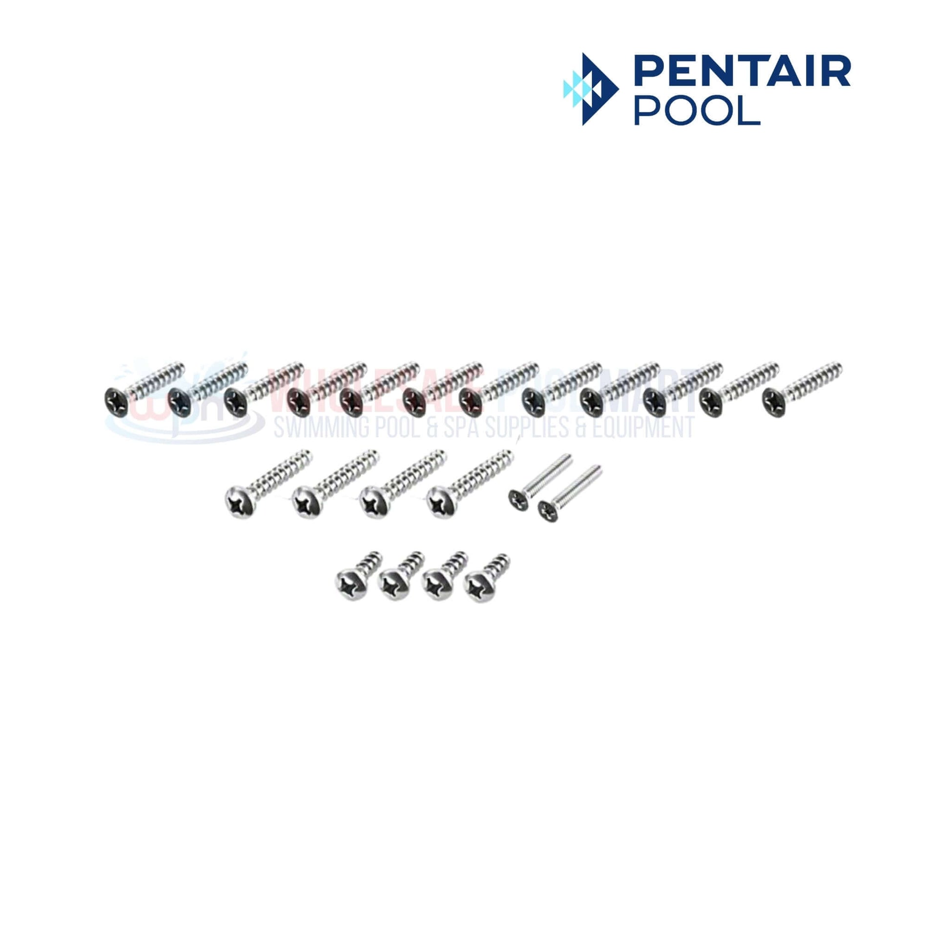 Pentair pool screws assortment for pool equipment repair at Wholesale Pool Mart WPM for durable and reliable use.