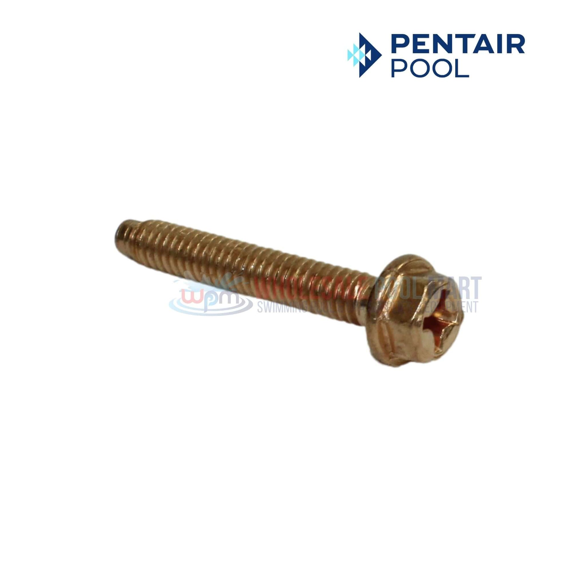 Pentair SpaBrite wire clamp assembly screw, durable stainless steel, wholesale Pool Mart WPM.