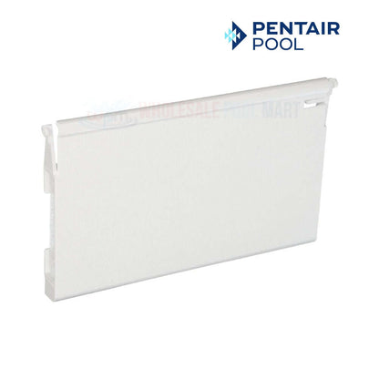 Pentair Weir Assembly 516252Z for Bermuda Skimmers, White weir gate from Wholesale Pool Mart WPM.