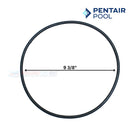 Pentair Body O-Ring For Filters | 87300400