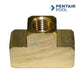Pentair Brass Tee 71982 for Purex SMBW Filters, 1/4 inch fitting, available at Wholesale Pool Mart WPM.