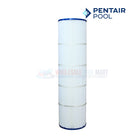 Pentair Clean & Clear Plus 420 Cartridge | 105 sq. ft | R173576 | 179135