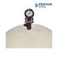 Pentair Clean & Clear Plus Cartridge Filter top view with pressure gauge | Wholesale Pool Mart WPM