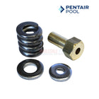 Pentair Clean & Clear Plus Filter Spring Barrel Nut Assembly | 550-4250 | 53108900