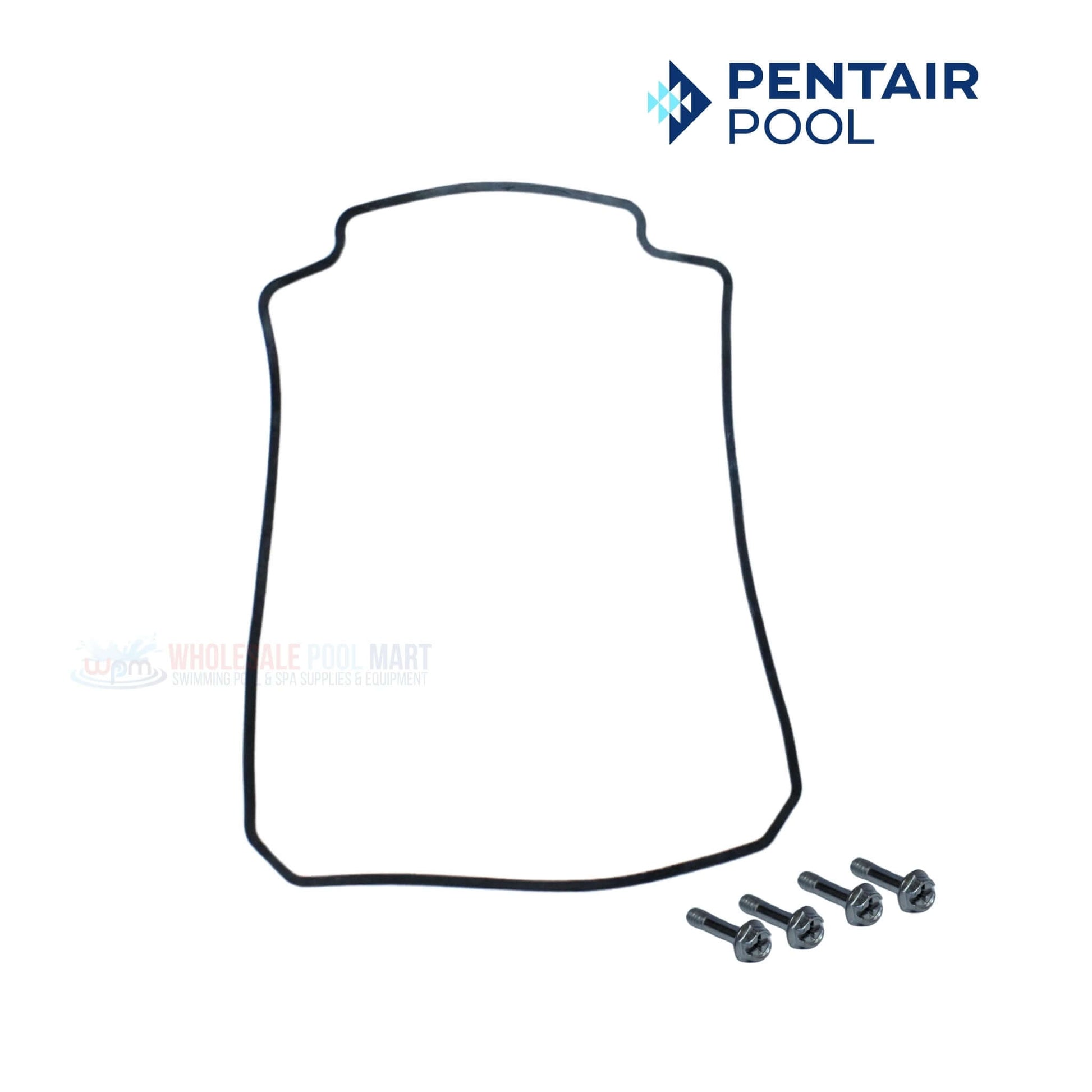 Pentair Drive Cover with Hardware for SuperFlo VST Pumps | RS-485 | Wholesale Pool Mart WPM | 356279