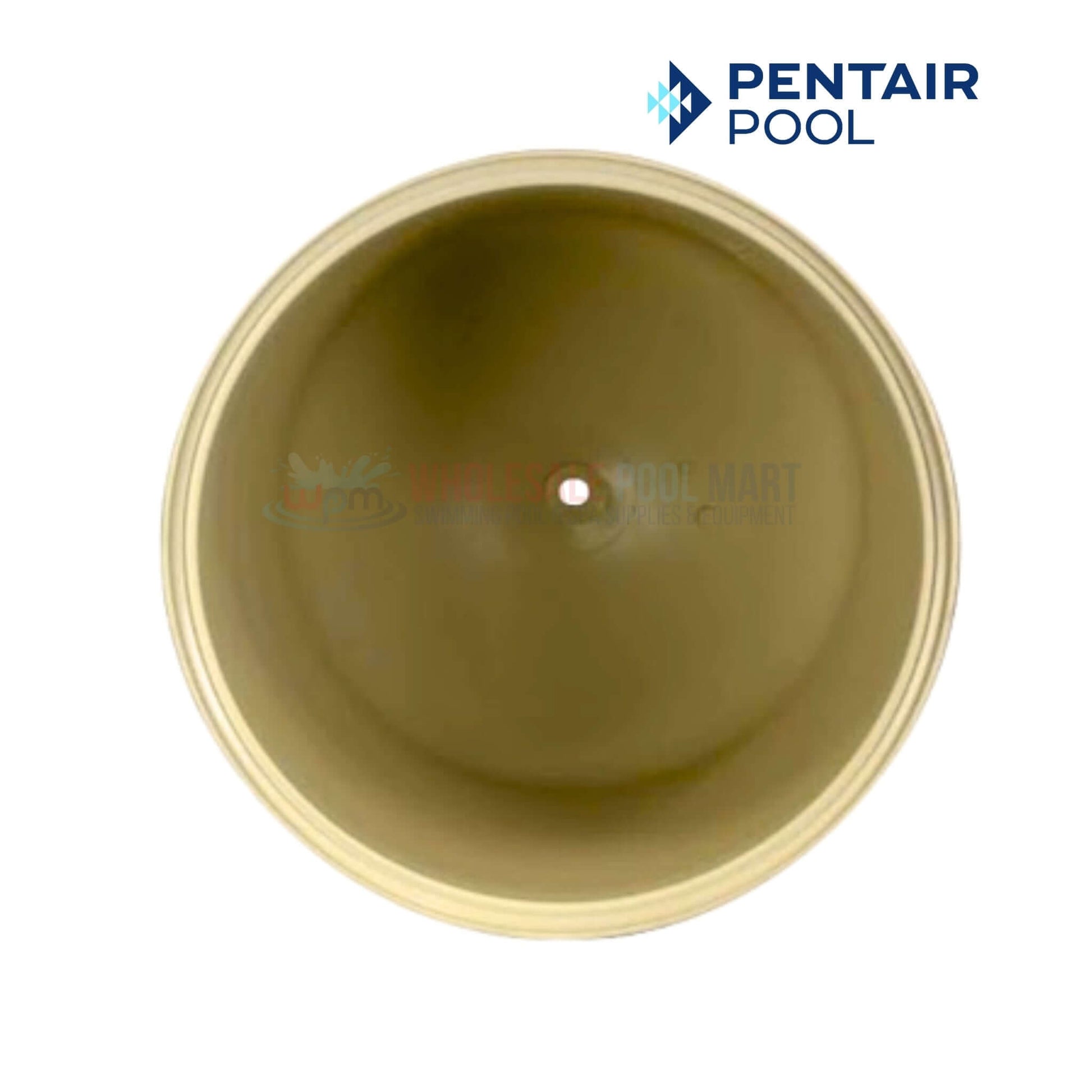 Pentair FNS Plus Filter Lid Assembly viewed from above, OEM replacement part, sold by Wholesale Pool Mart WPM.