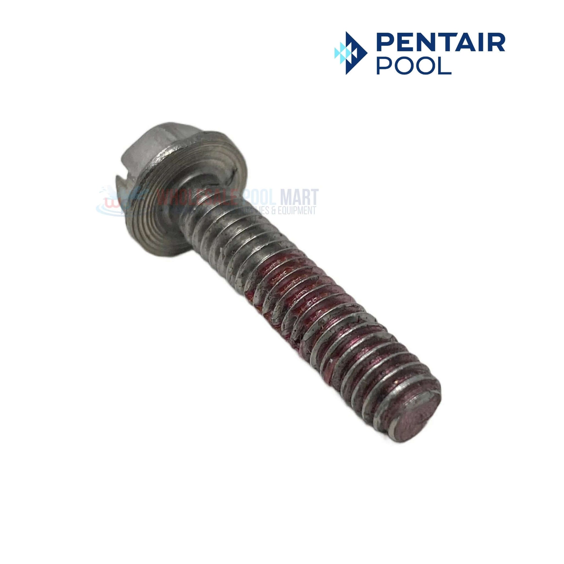 Pentair Impeller Locking Screw 355389 for SuperMax SuperFlo Pumps from Wholesale Pool Mart WPM