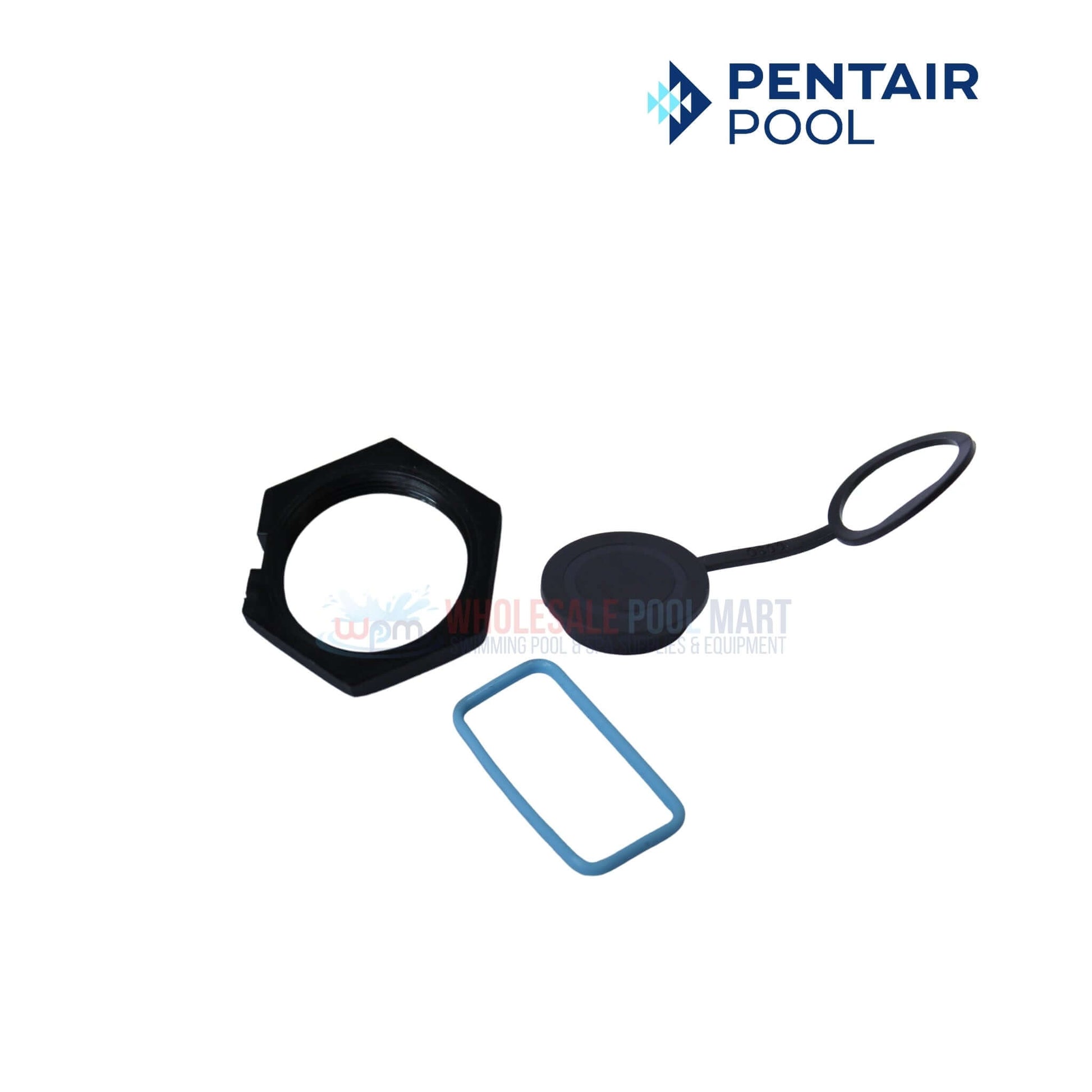 Pentair Pool parts including gasket, cap, and seal for pool maintenance from Wholesale Pool Mart (WPM)