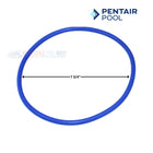 Pentair Lid O-Ring For Pentair Intelliflo3 VSF Pumps | 356189Z