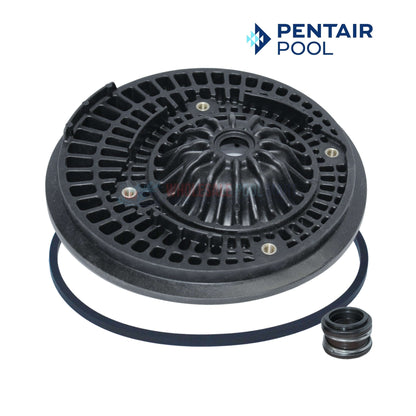 Pentair C203-194PV Viton Seal Plate Kit for Max-E-Pro, Max-E-Glas & Dura-Glas Pool Pumps