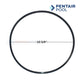 Pentair C203-194PV Viton Seal Plate Kit for Max-E-Pro, Max-E-Glas & Dura-Glas Pool Pumps