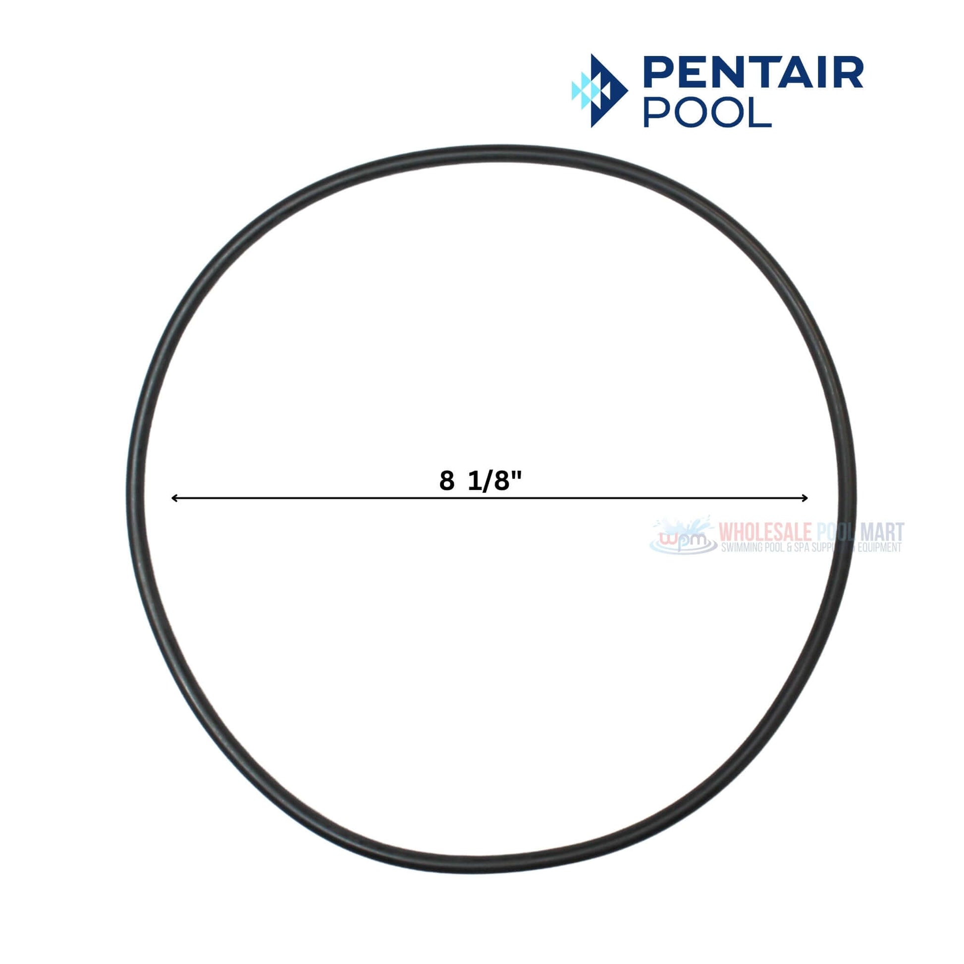 Pentair Seal Plate O-Ring 8 1/8" for SuperMax & SuperFlo Pumps | Wholesale Pool Mart WPM