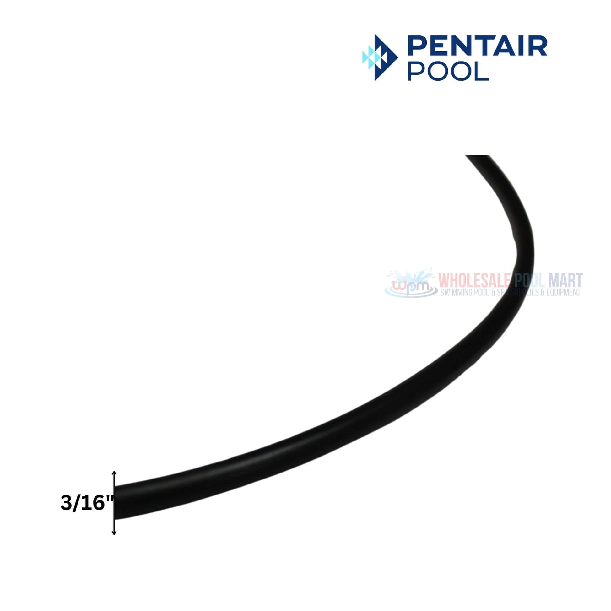 Pentair Seal Plate O-Ring 355619 for SuperMax and SuperFlo Pumps by Wholesale Pool Mart WPM, 3/16" diameter.