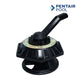 Pentair Top Assembly Valve 272531 for 1-1/2" HiFlow Valves and Sand Dollar Filters | Wholesale Pool Mart WPM