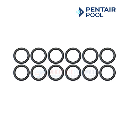 Pentair Tube Sheet Coil Sealing O-Ring Kit for MasterTemp Max-E-Therm 400 | 12 Pack by Wholesale Pool Mart WPM