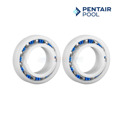 Pentair Wheel Ball Bearings EC60 for pool cleaners, 2 pack, available at Wholesale Pool Mart (WPM).