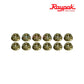 Raypak replacement nuts set, durable materials for heating system maintenance, bought from Wholesale Pool Mart WPM.