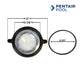 Pentair Pool lens with dimensions 11in x 5 5/8in, 8 3/8in diameter rubber O-ring | Wholesale Pool Mart WPM